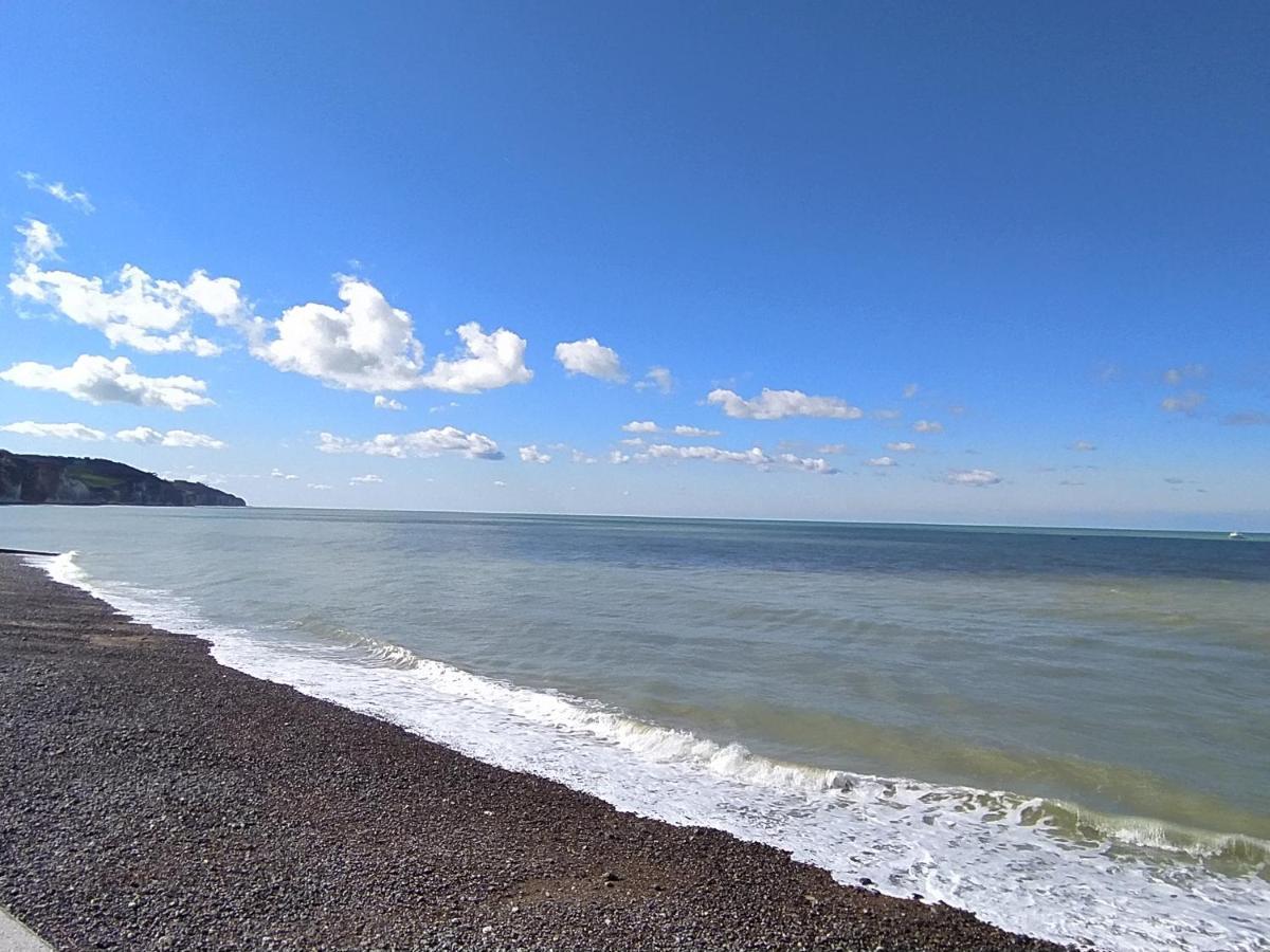 Jolie Maison En Bord De A Pourville Hautot-sur-Mer